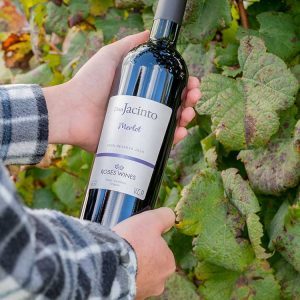 Merlot